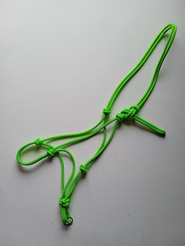 Lime green rope halter